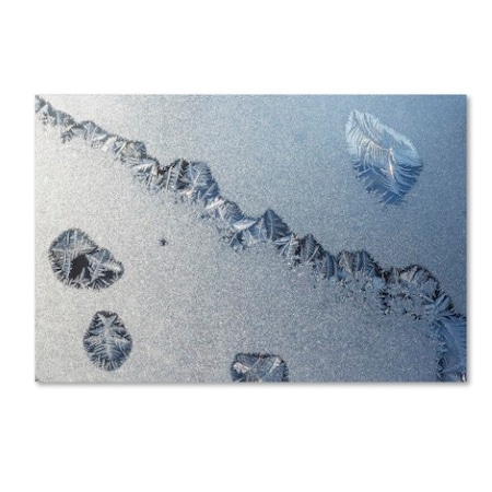 Kurt Shaffer 'Amazing Frost On A Window' Canvas Art,16x24